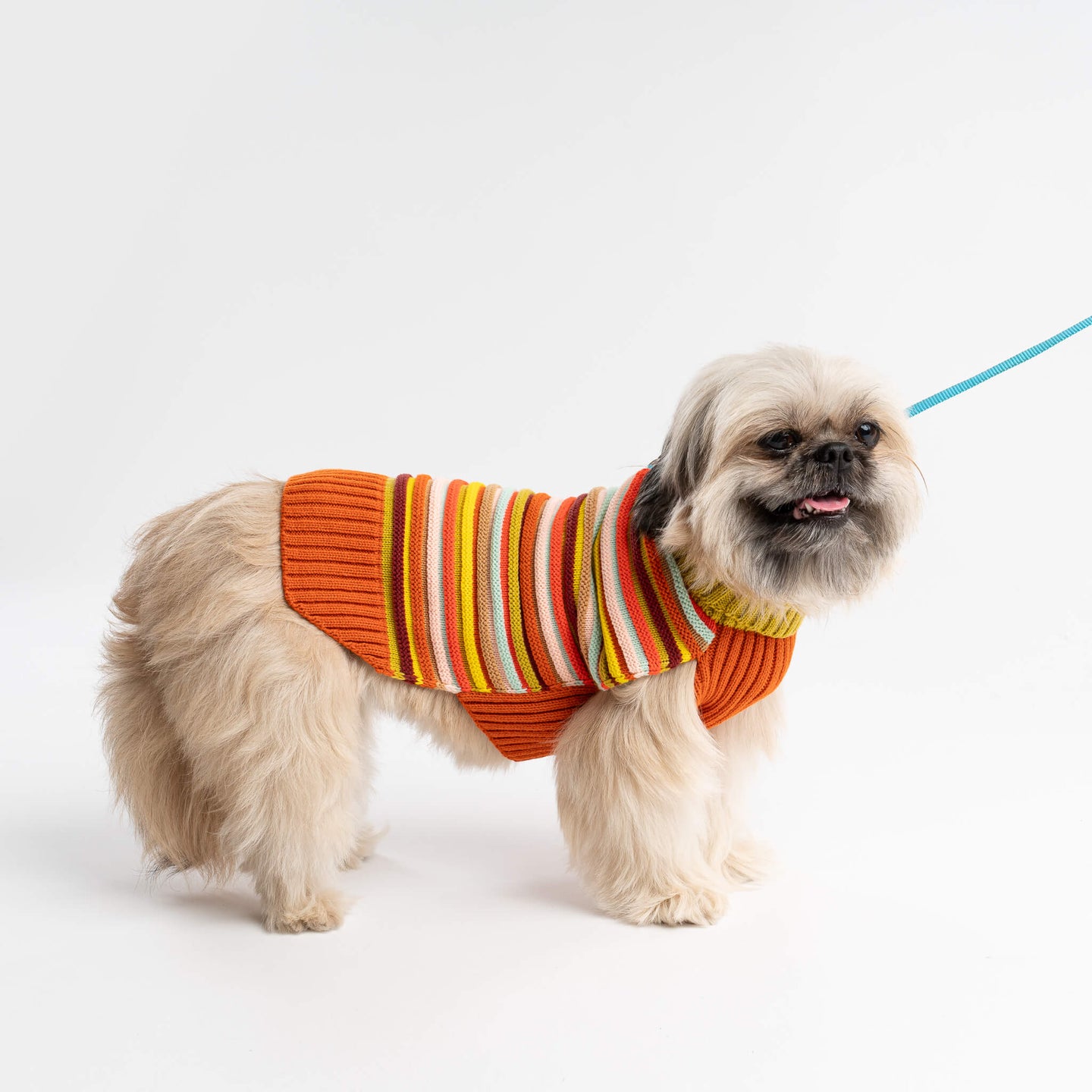 Circus Knit Texture Stripe Rib Dog Sweater Long Warm Easy to Wash