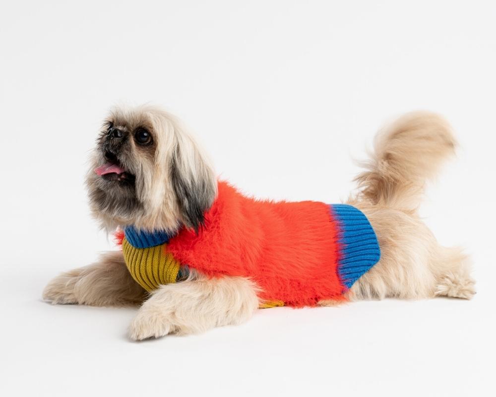 verloop faux fur knit dog sweaters