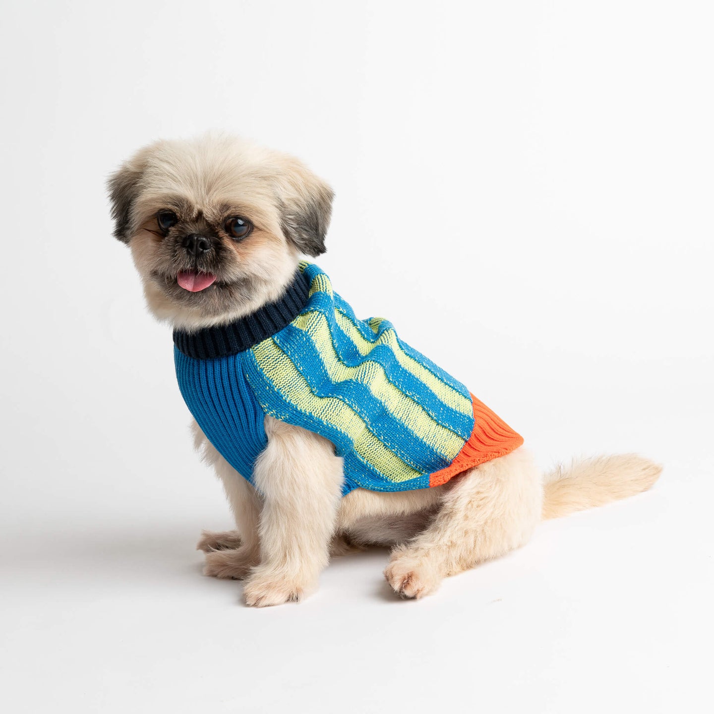 Big Stripe Dog Sweater