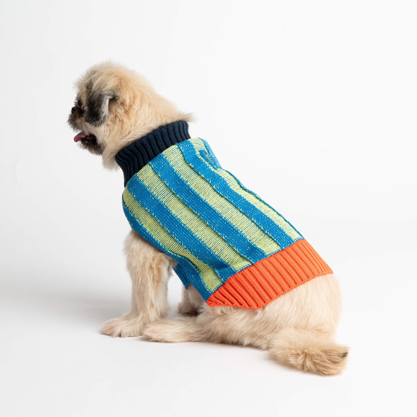 Big Stripe Dog Sweater