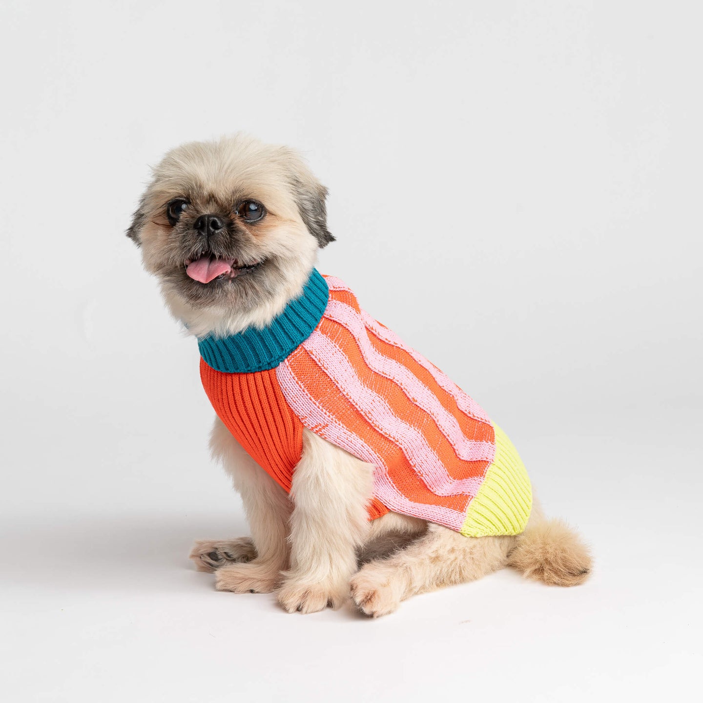 Big Stripe Dog Sweater