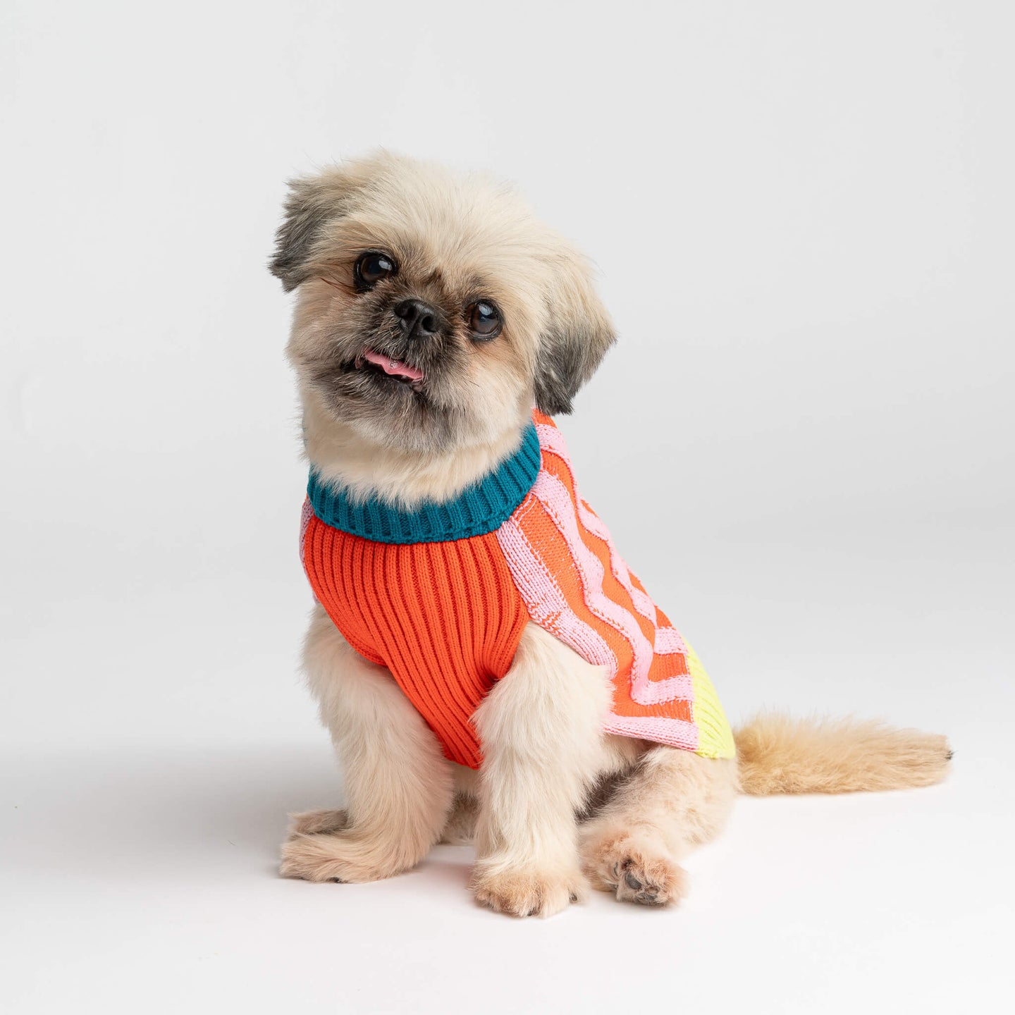 Big Stripe Dog Sweater