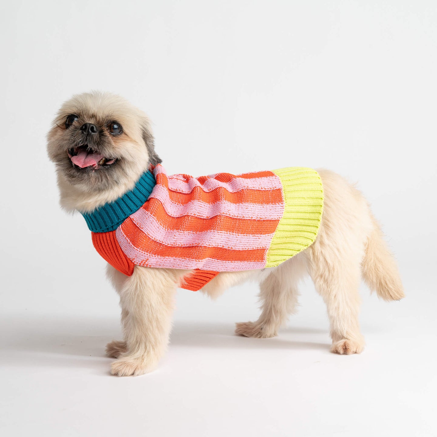 Big Stripe Dog Sweater