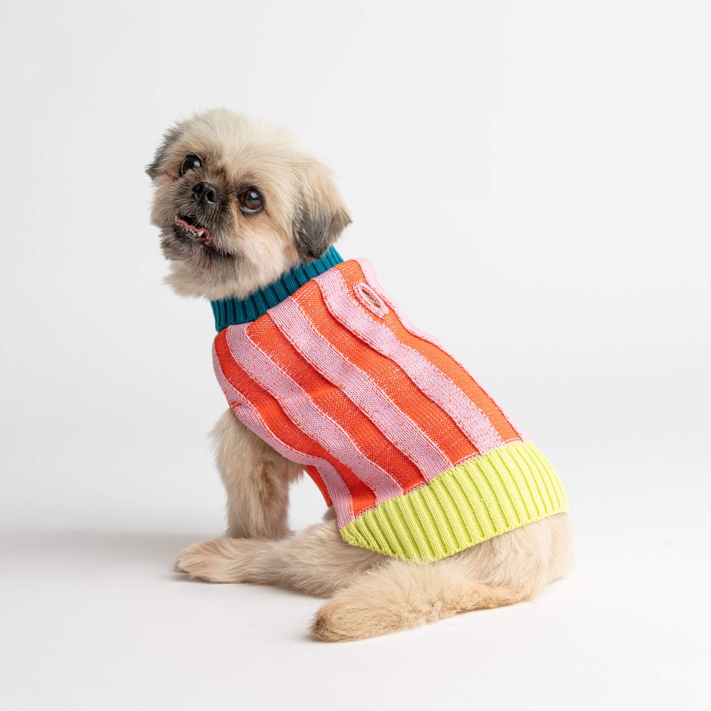 Big Stripe Dog Sweater