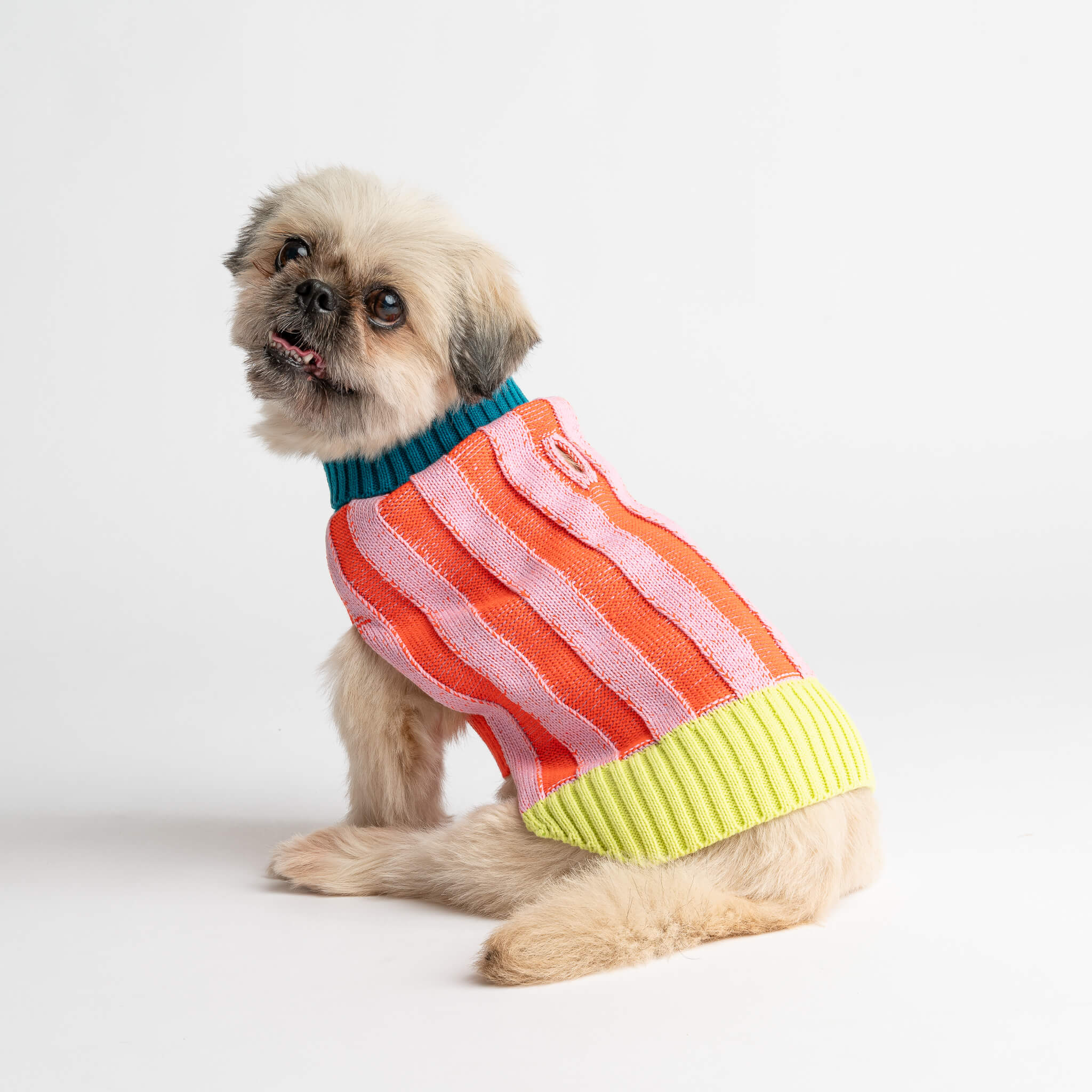 Rare!! Anthropologie outlet TROUBADOUR Pupped Dog Corgi Striped Pullover Sweater Medium