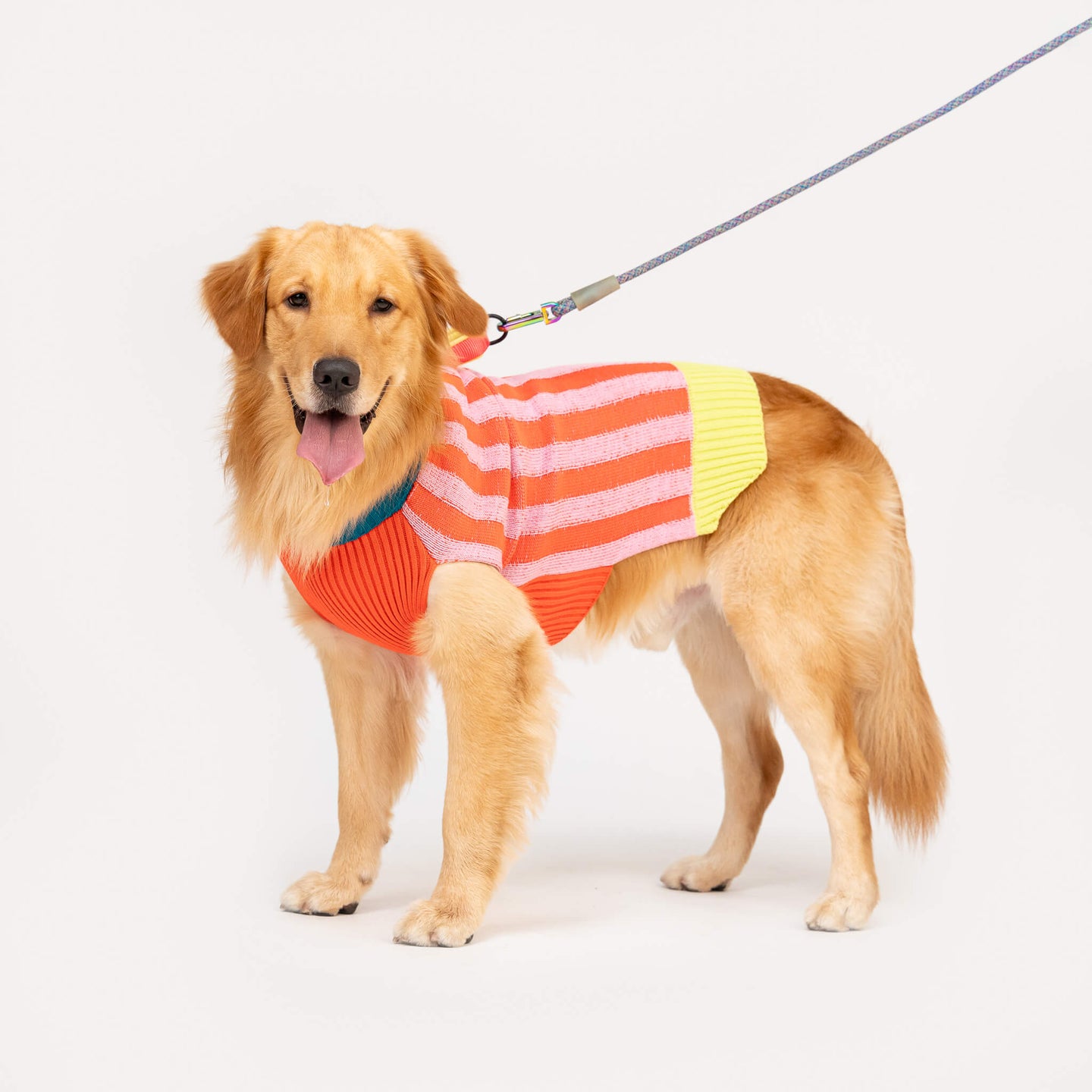 Big Stripe Dog Sweater