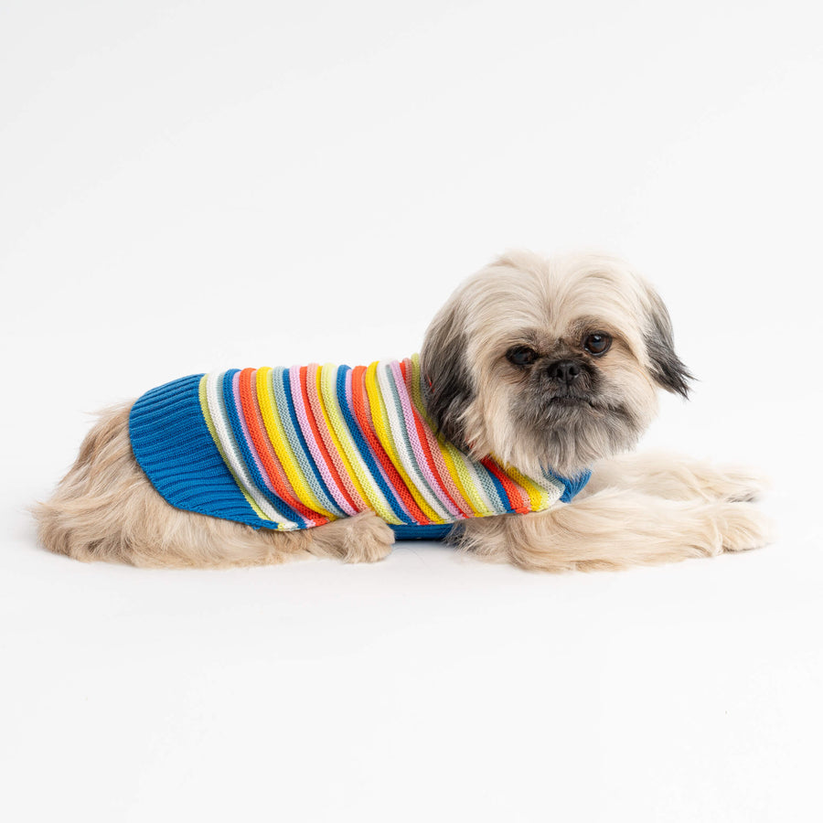 Circus Stripe Dog Sweater