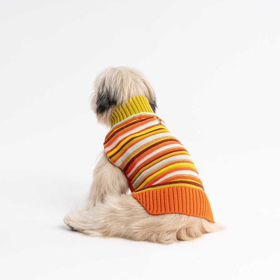 Desert | Circus Knit Texture Stripe Rib Dog Sweater Long Warm Easy to Wash