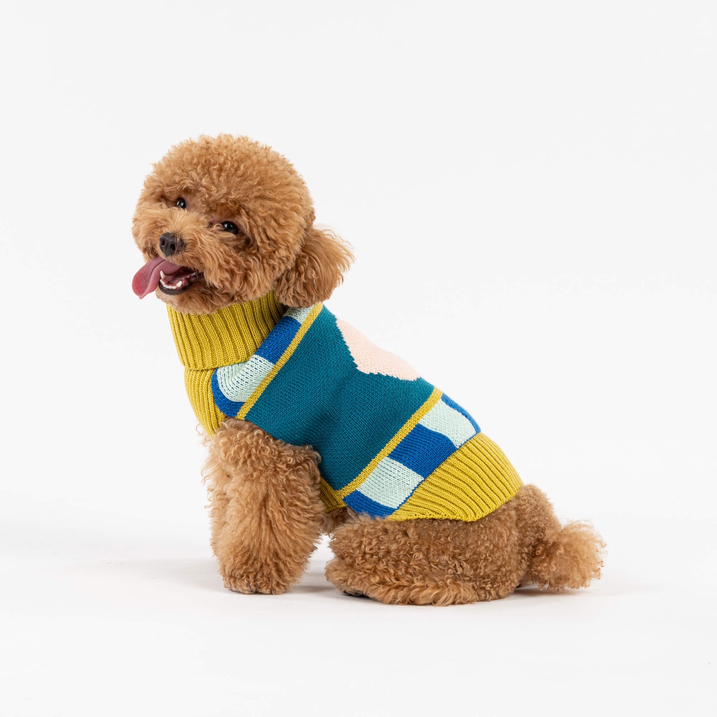 Stripe Dot Dog Sweater