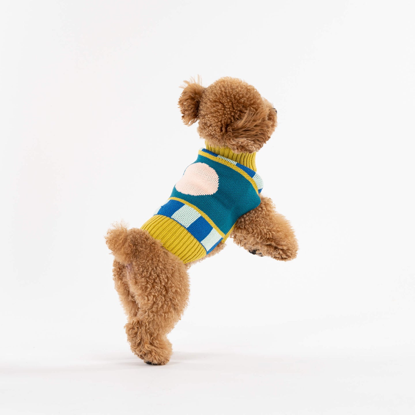 Stripe Dot Dog Sweater
