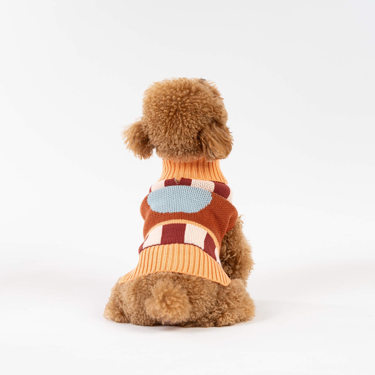 Stripe Dot Dog Sweater