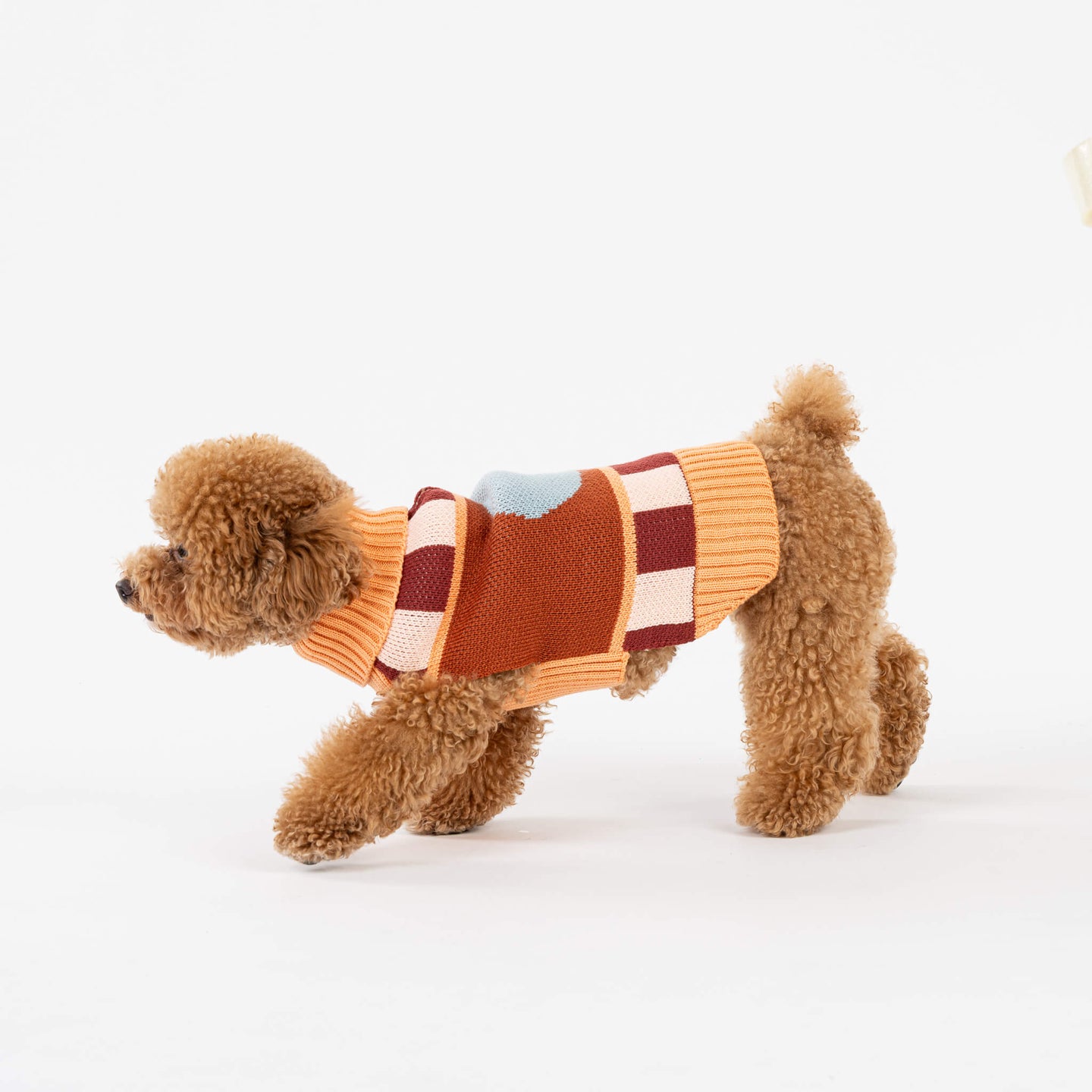 Stripe Dot Dog Sweater