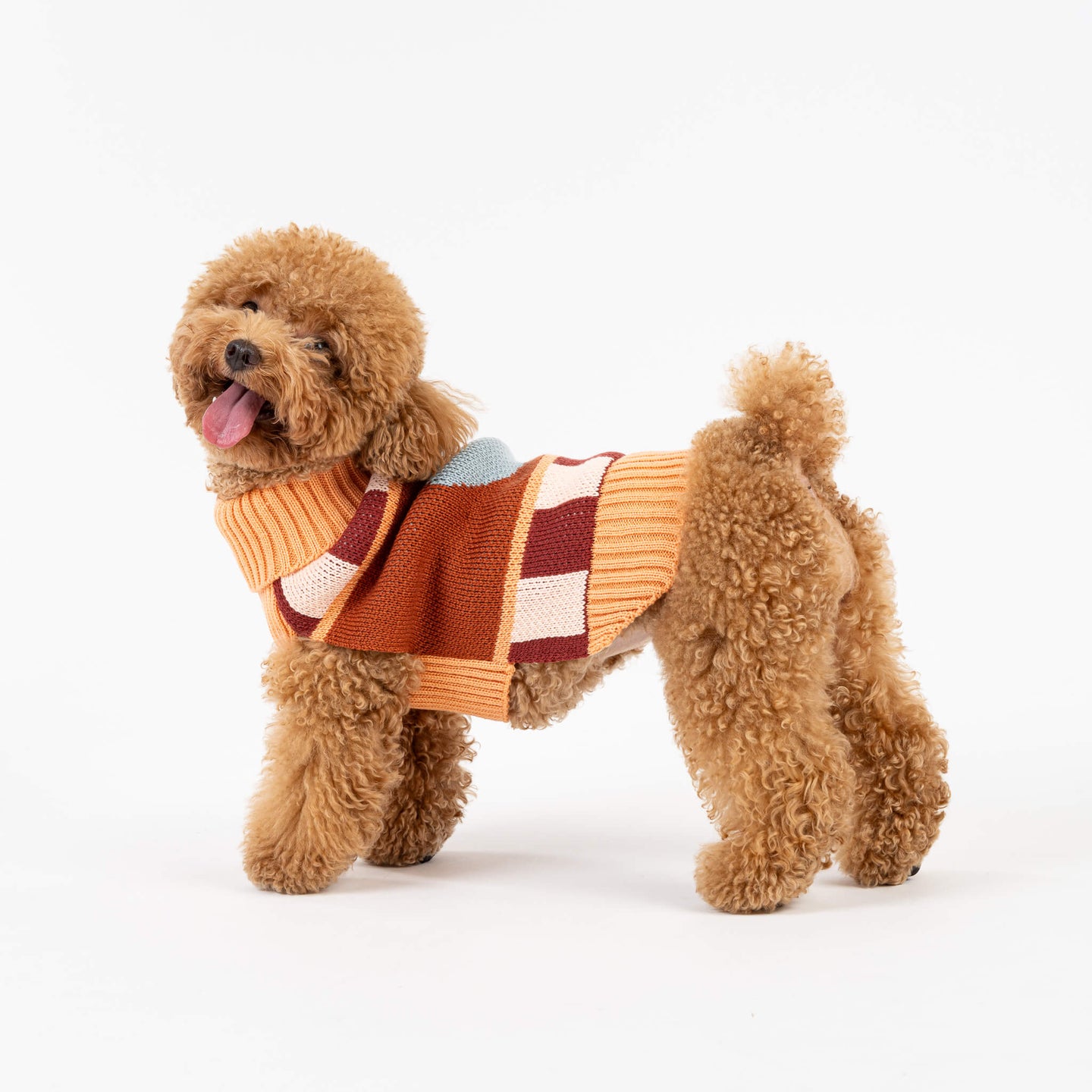 Stripe Dot Dog Sweater