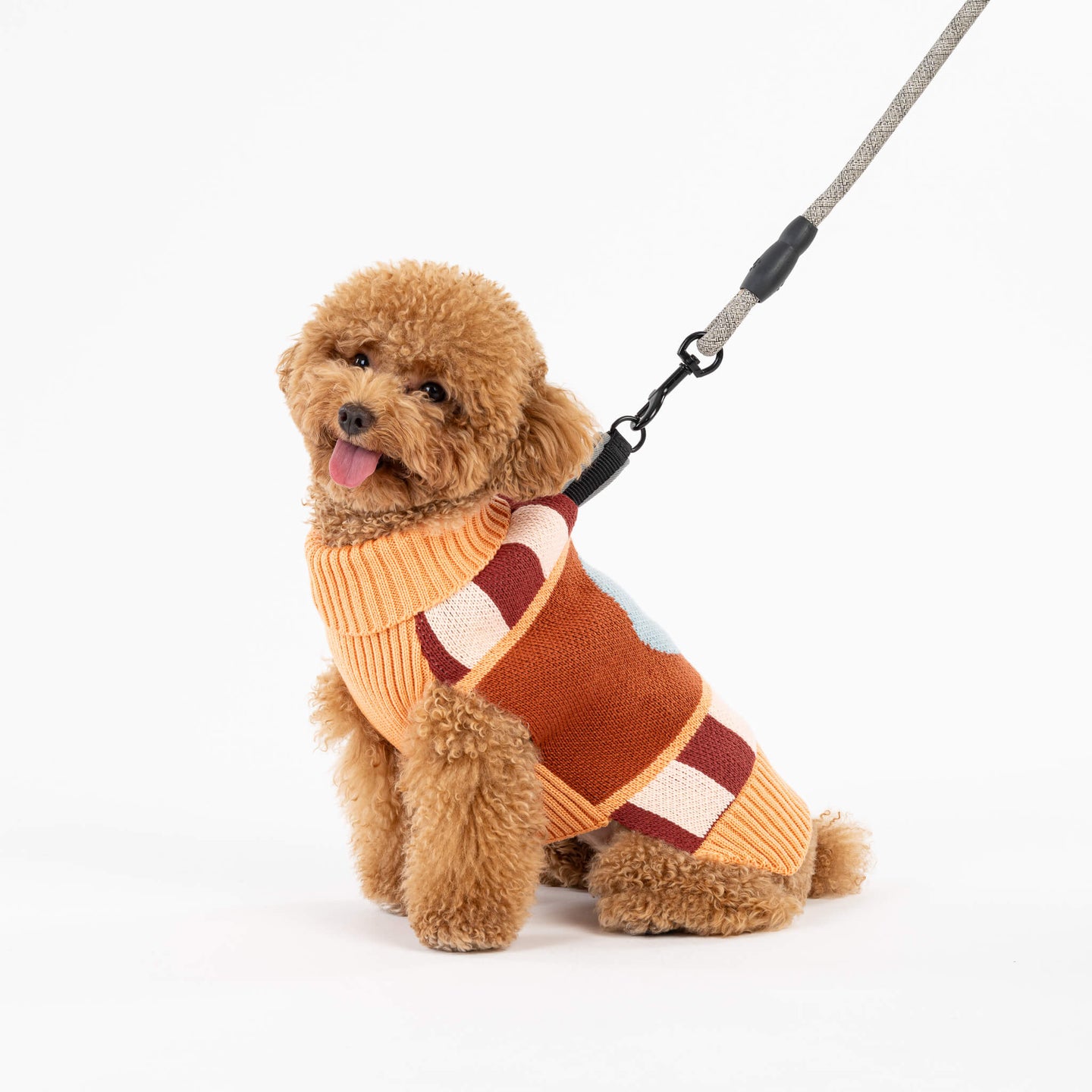 Stripe Dot Dog Sweater