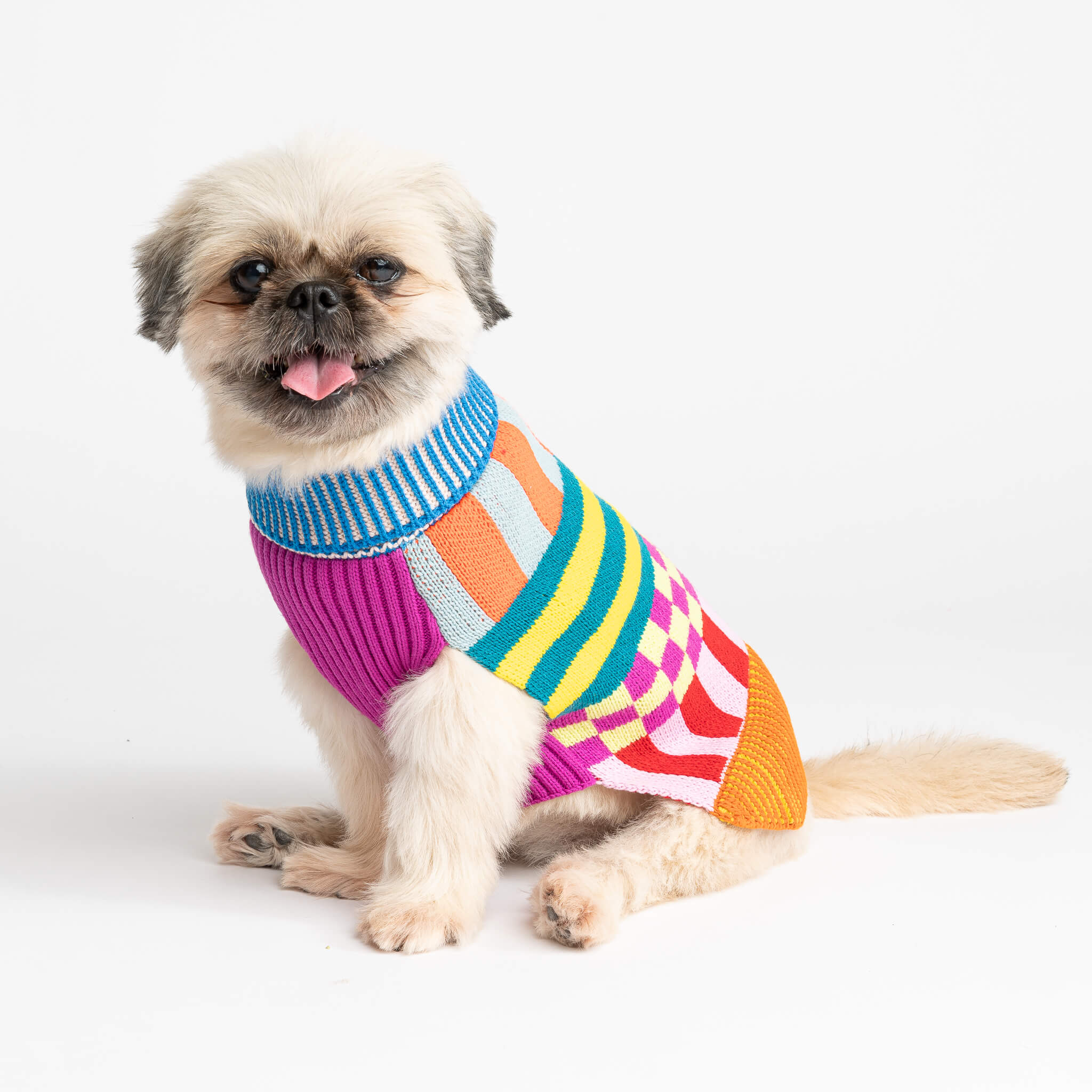 sweater with dog on it Heart Sleeve Custom Knit Pet Sweater main image 1