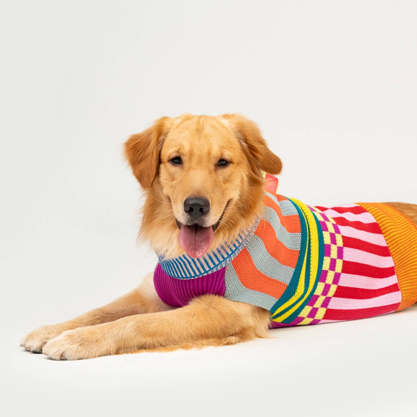 Pattern Patch Dog Sweater