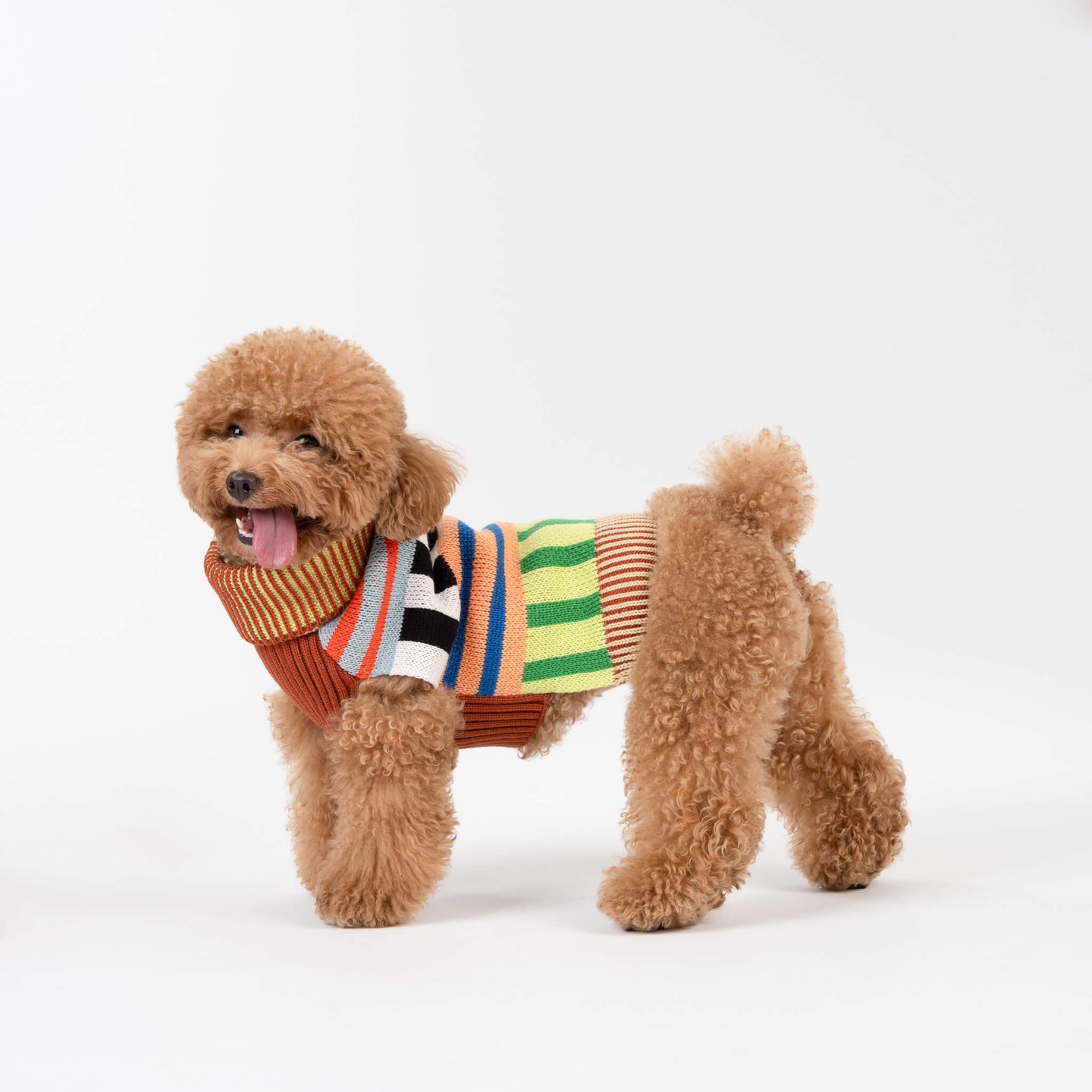 Patchwork Stripe Dog Sweater