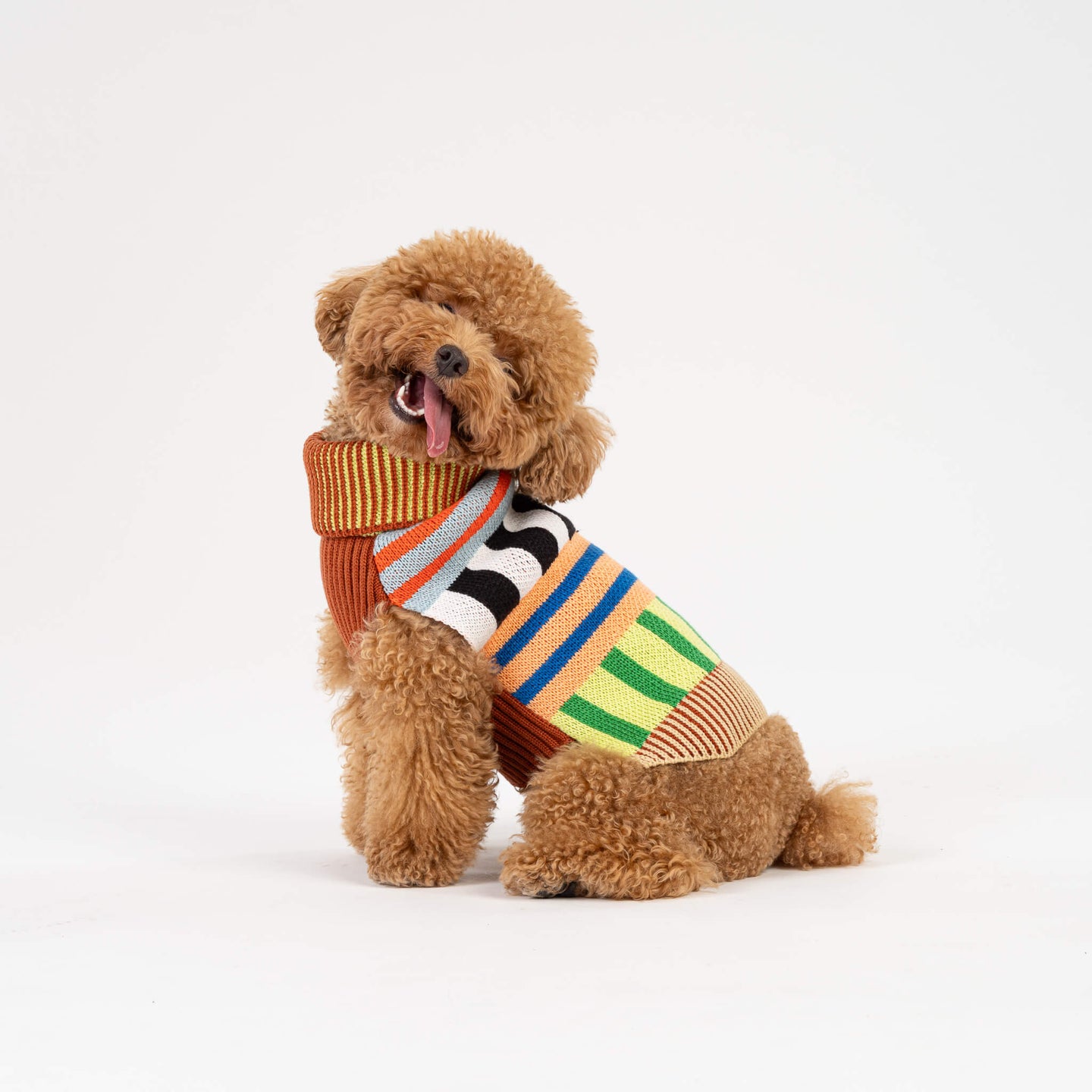 Patchwork Stripe Dog Sweater