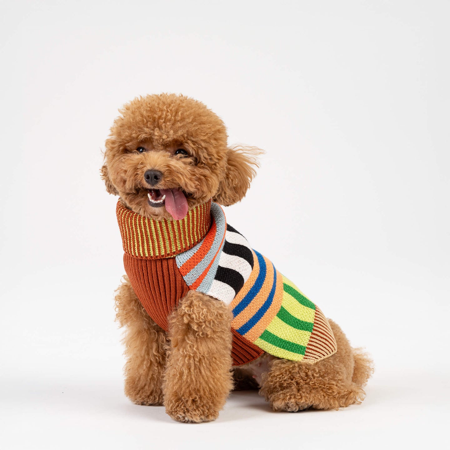 Patchwork Stripe Dog Sweater