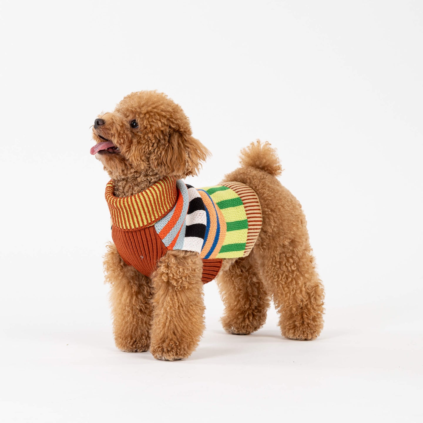 Patchwork Stripe Dog Sweater