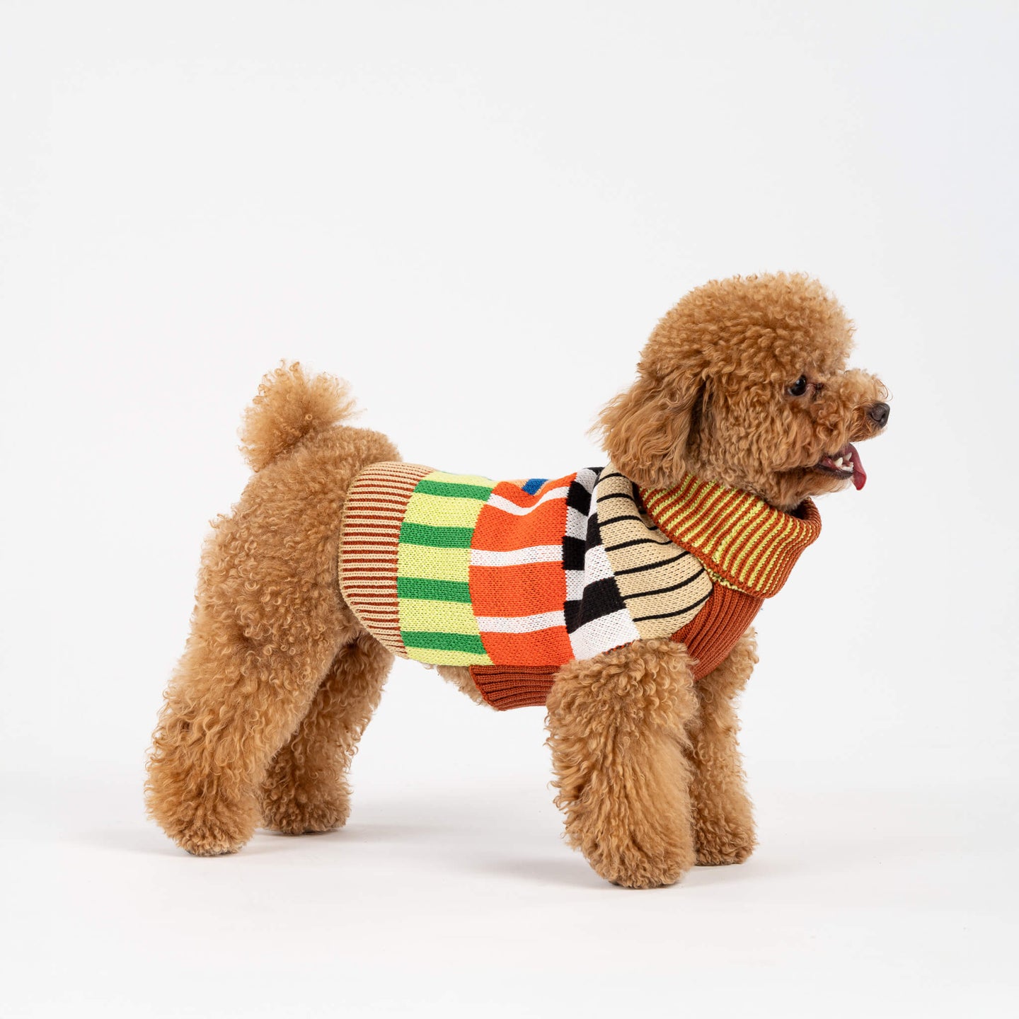 Patchwork Stripe Dog Sweater