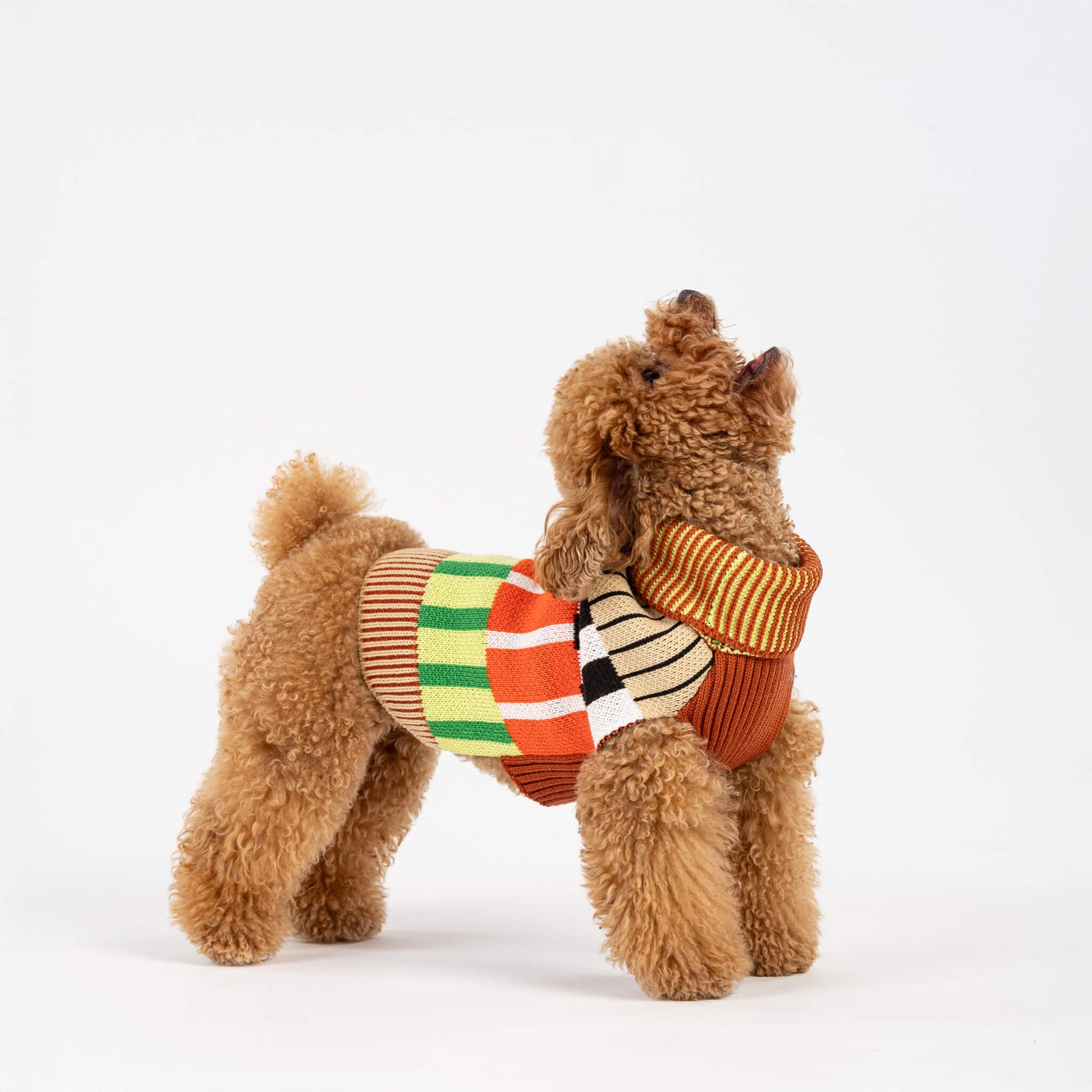 Patchwork Stripe Dog Sweater