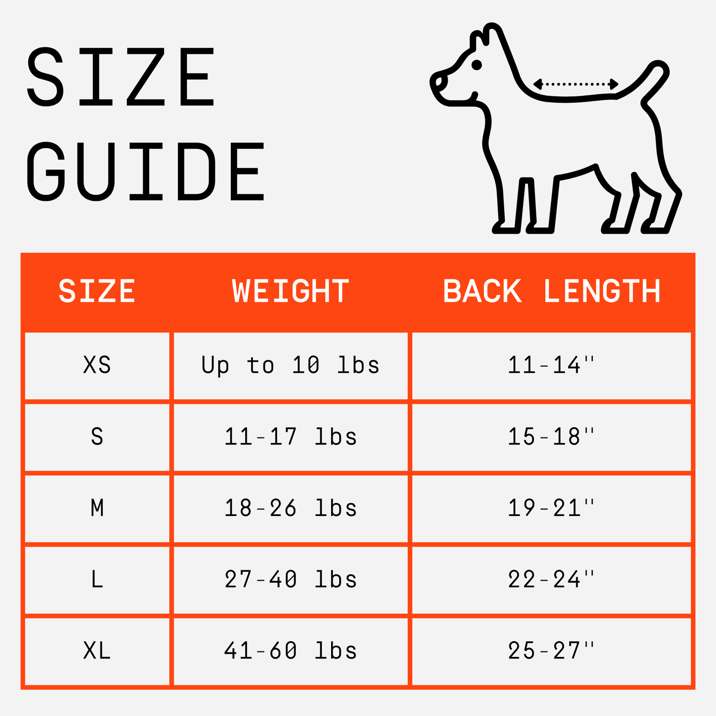 Stripe Dot Dog Sweater