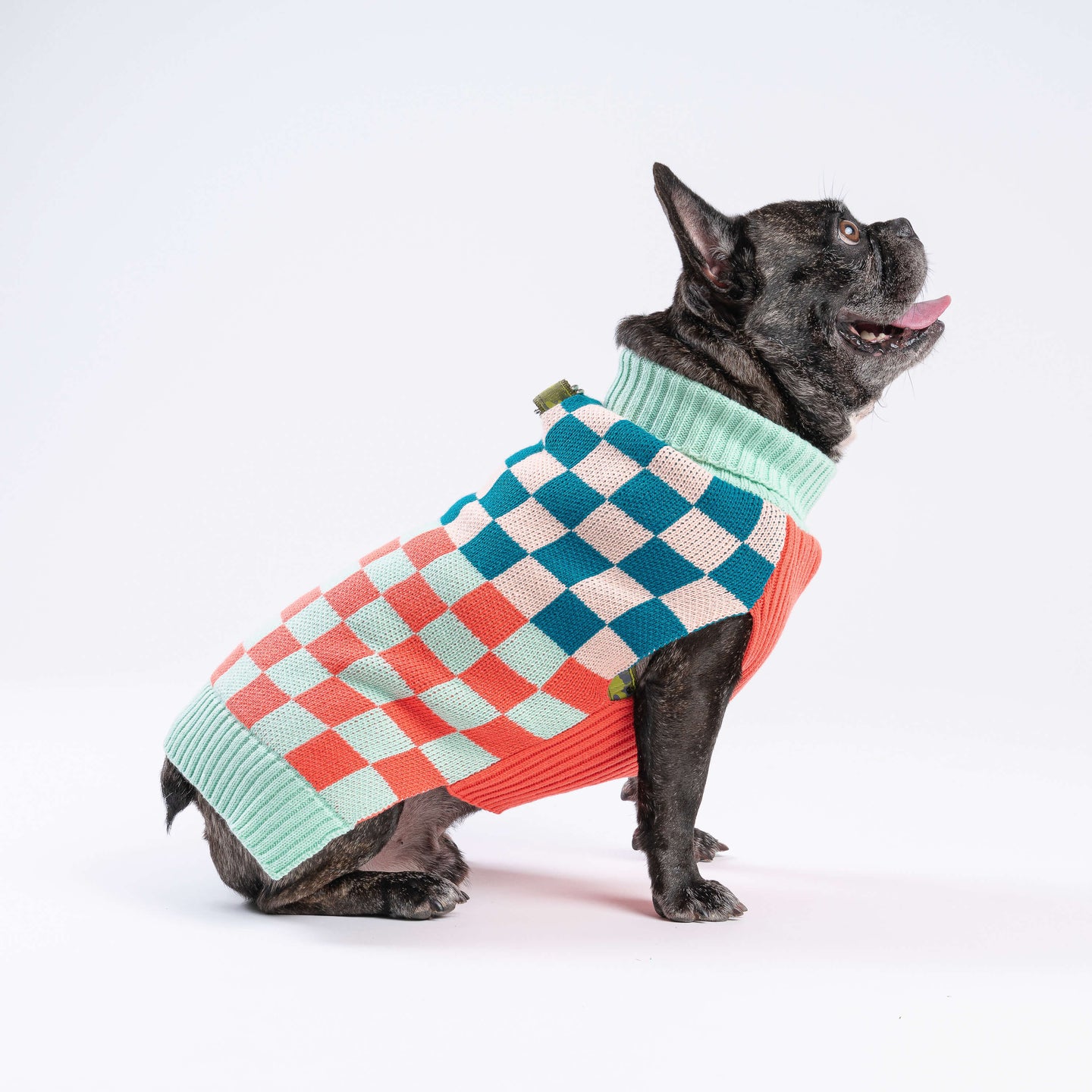 Checkerboard Dog Sweater On Dog