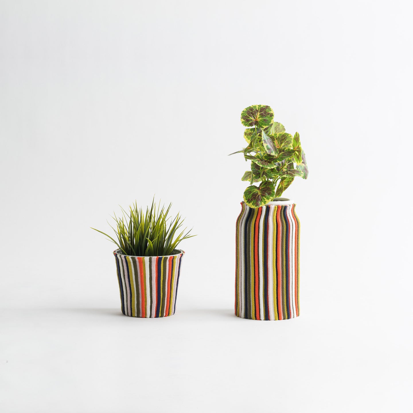 Rib Plant Sleeve Stripe Stretch Eco