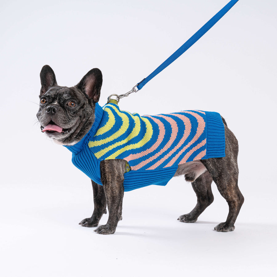 Sound Wave Dog Sweater